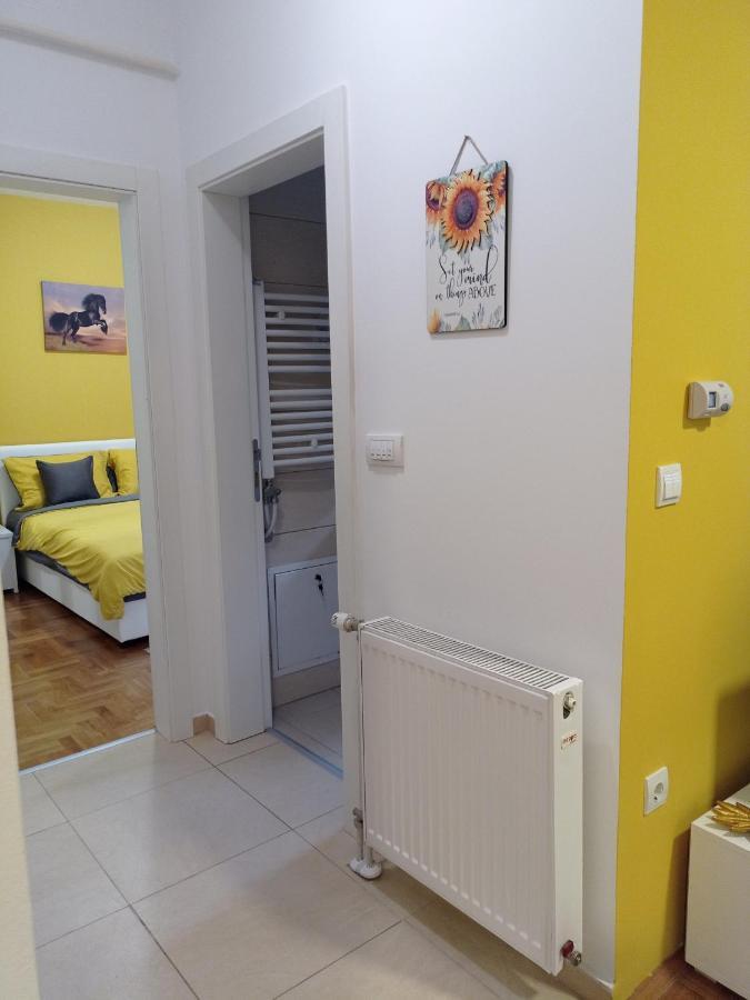 Apartman Sunflower 스렘스카 미트로비차 외부 사진