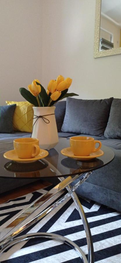 Apartman Sunflower 스렘스카 미트로비차 외부 사진